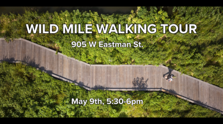 Wild Mile Walking Tour - Current