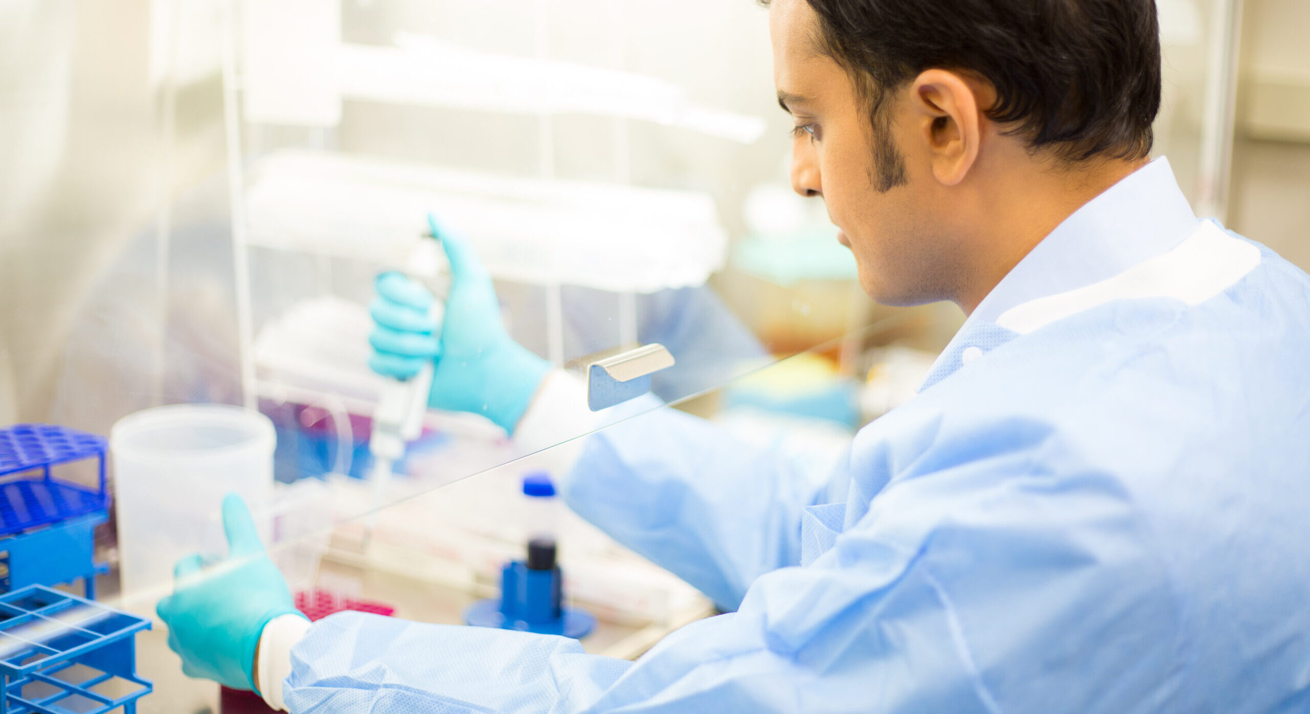 Great Lakes Renew Postdoctoral Fellowships