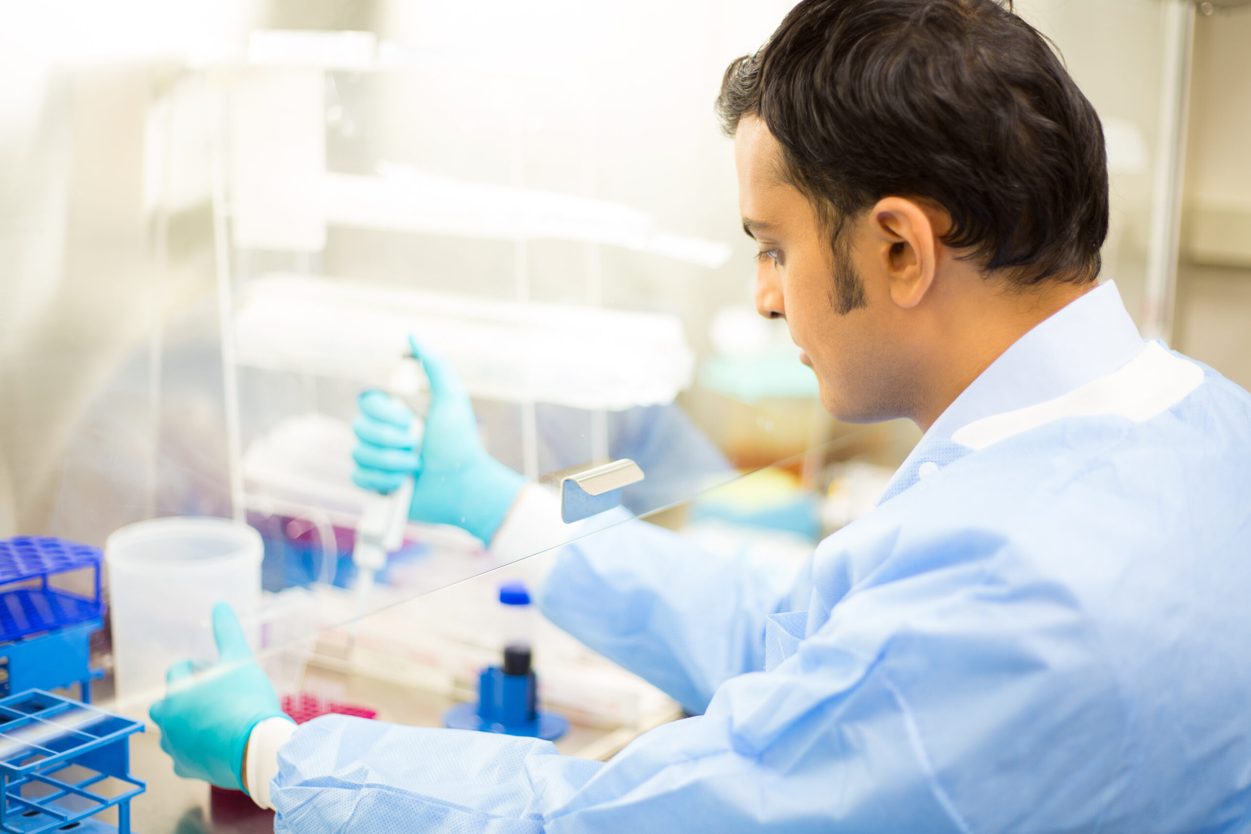 Closeup cropped portrait, scientist pipetting with hands, laboratory experiments, isolated lab background.